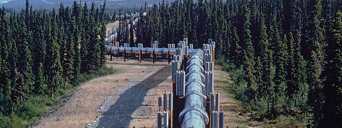 Landscaping water supply pipe network Landscaping water supply pipe network